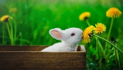 刘炽平：腾讯混元团队正在招聘更多顶尖人才，以补充现有工程团队