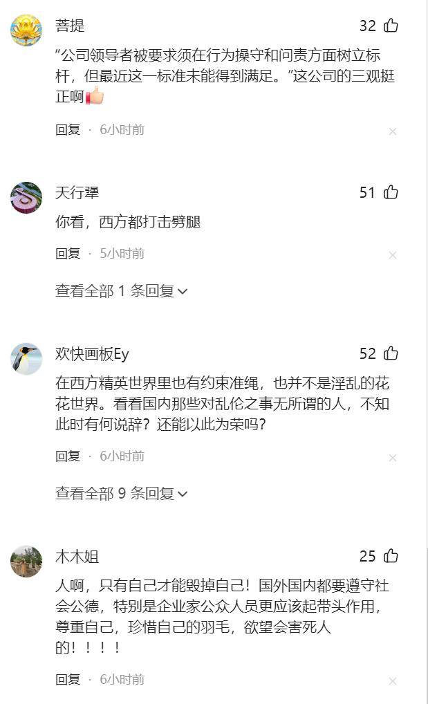 美国IT公司CEO因出轨辞职，万千网友呼吁胡锡进宋清辉们为之发声