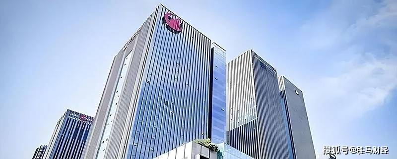 顾伟全面掌舵国联民生证券