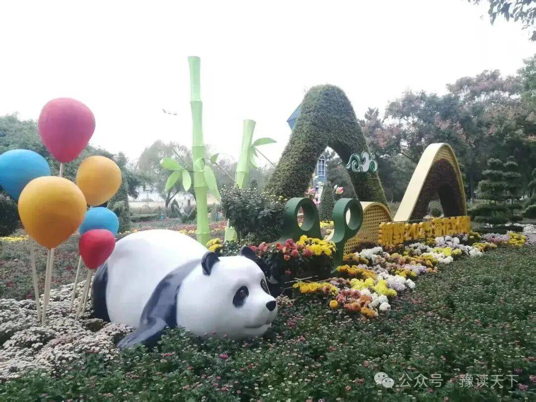 新野：那一抹菊香里的民生温度