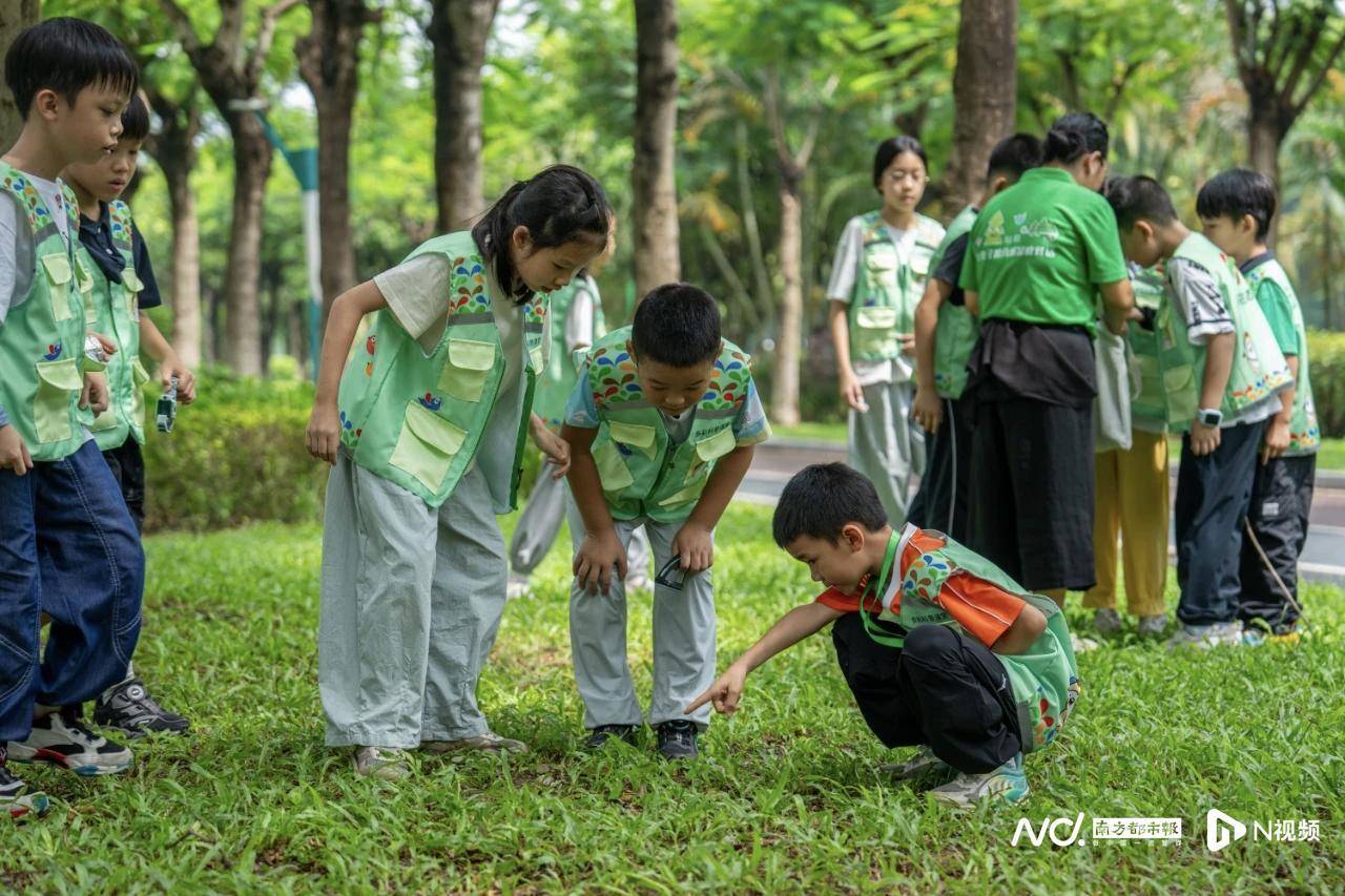 松山湖“民生”答卷：从“民生之盼”到“民生之赞”