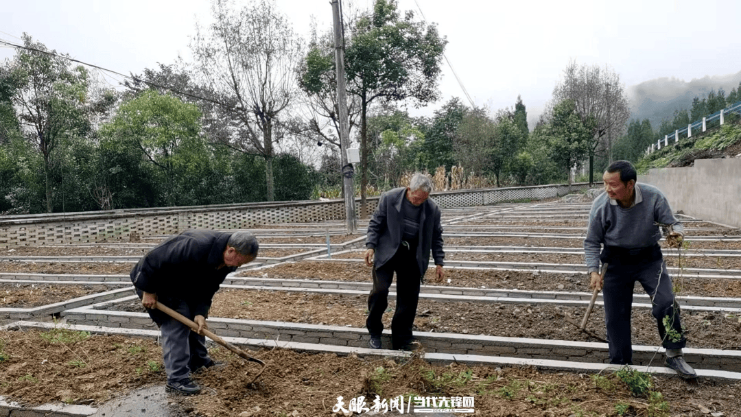 织金：民生“纪手”抓 守护“夕阳红”