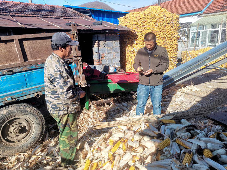 安图县亮兵镇：多维发力护秋收 颗粒归仓保民生