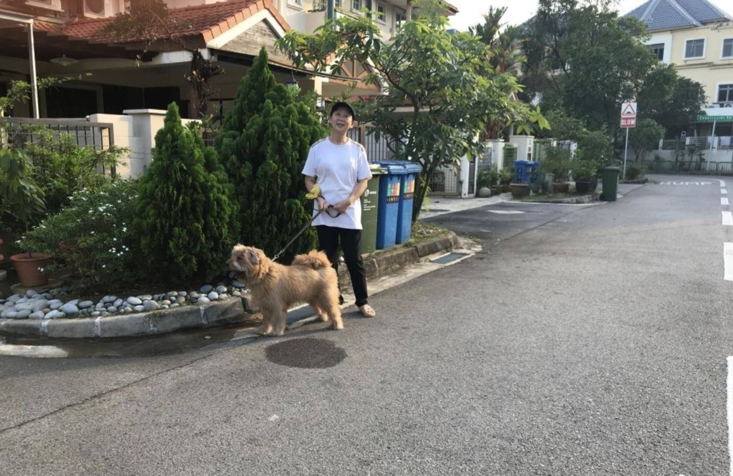 71岁朱咪咪近况曝光，回香港献唱身形消瘦，长居新加坡享儿孙之福