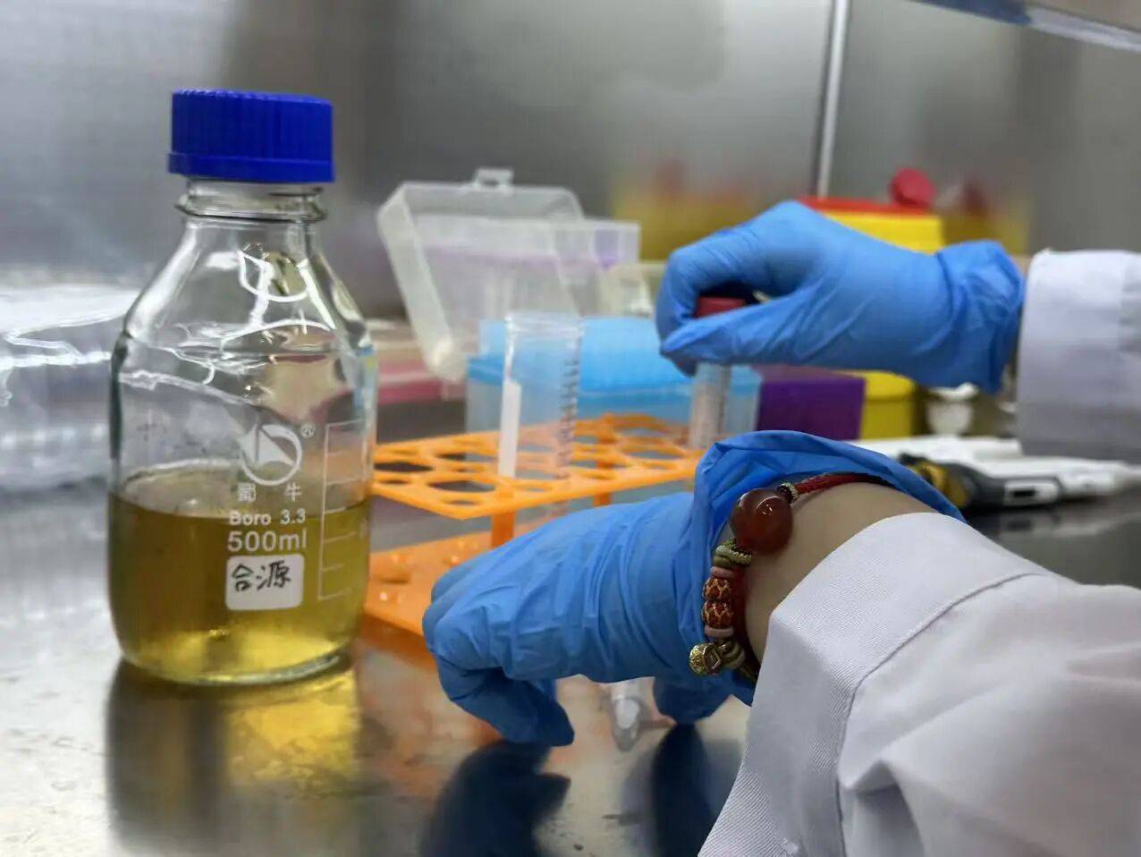 宏文学校青岛校区Diana孙煜阳畅聊“双城科研”趣事