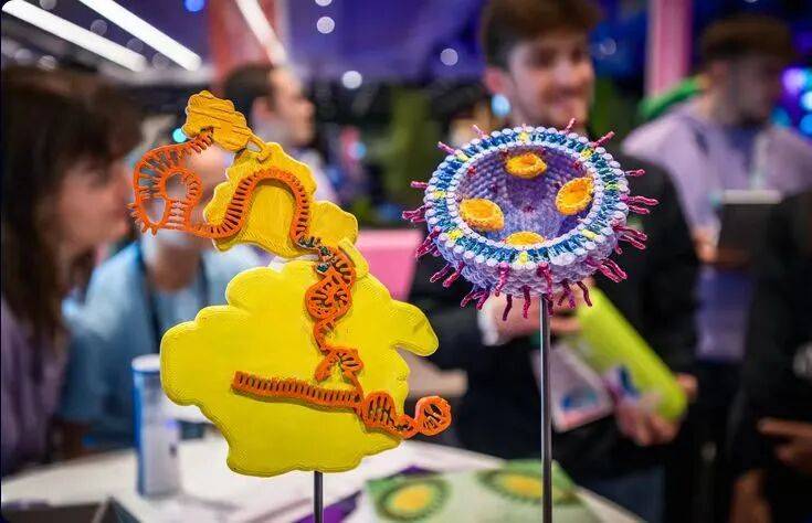 宏文学校青岛校区Diana孙煜阳畅聊“双城科研”趣事