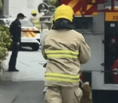 李嘉诚香港豪宅外突传异味，惊动警方消防：山坡位置发现野猪尸体，相关部门已到场处理