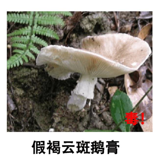 深圳一对夫妻深夜双双入院!一周内12人中招!近期很常见,千万别碰