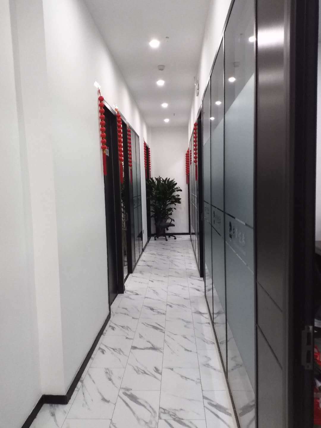 东莞证券手机版(东莞证券app下载官网)